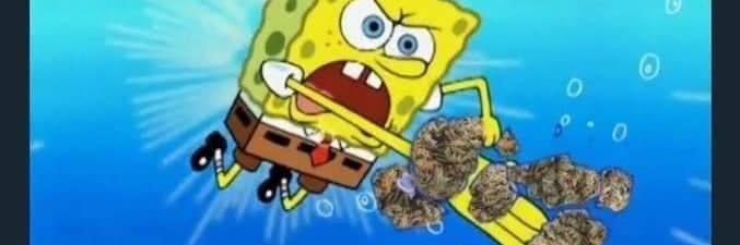 daddystroke7's profile banner image