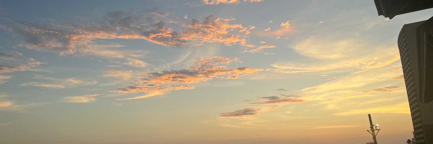 karolinems_'s profile banner image