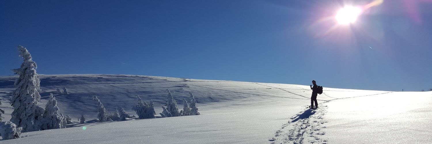 Johannes Fröhlinger banner