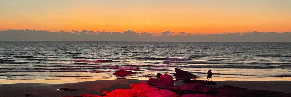 jofernandestwt's profile banner image