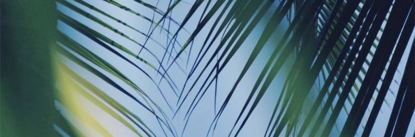 viimare's profile banner image