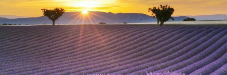 idarestyle's profile banner image