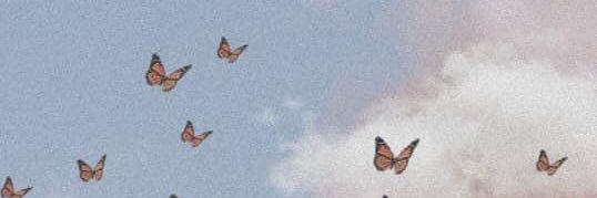 ka_identro's profile banner image