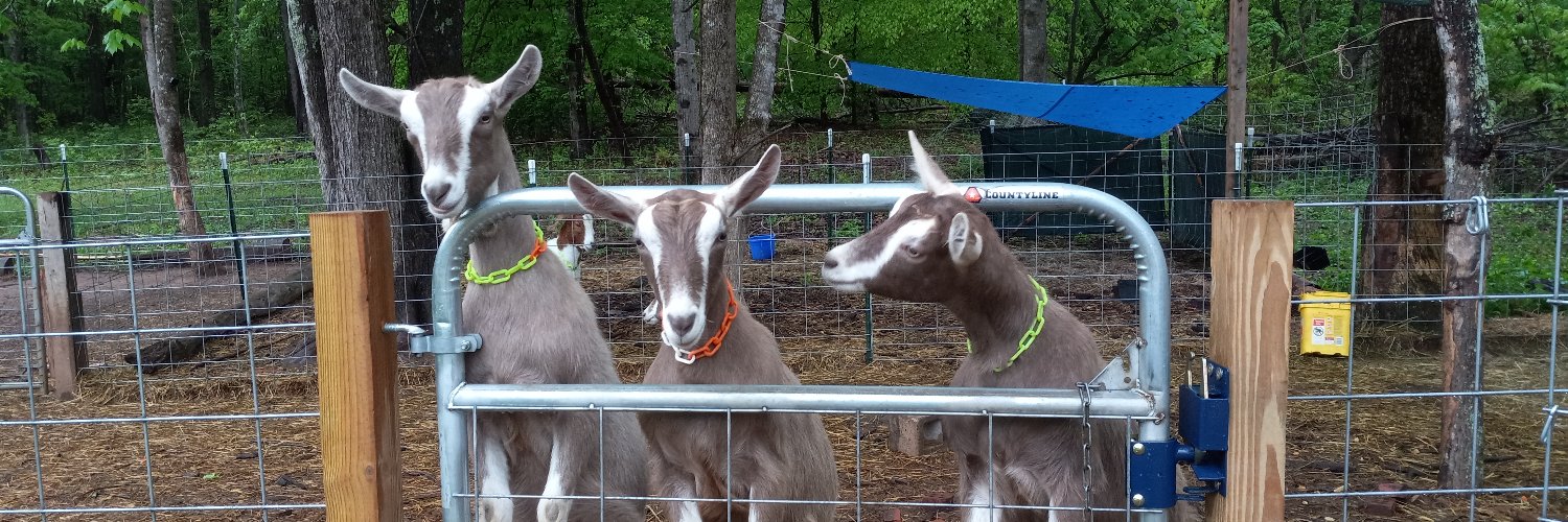 Jared Manning banner