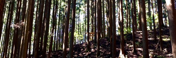 AlexktMartin Profile Banner