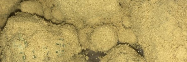 YUNGTACT Profile Banner