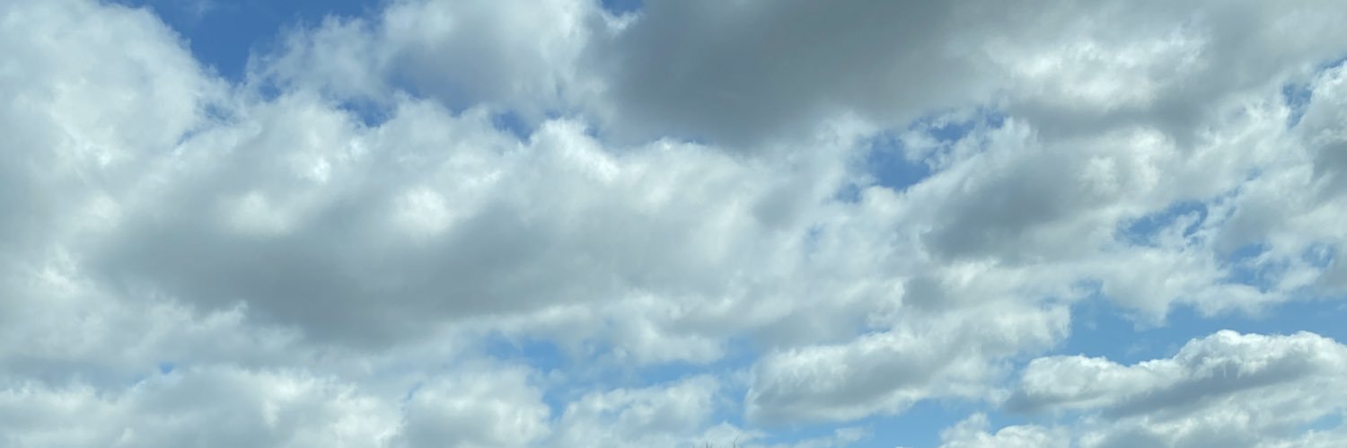 shakeethatcASS's profile banner image