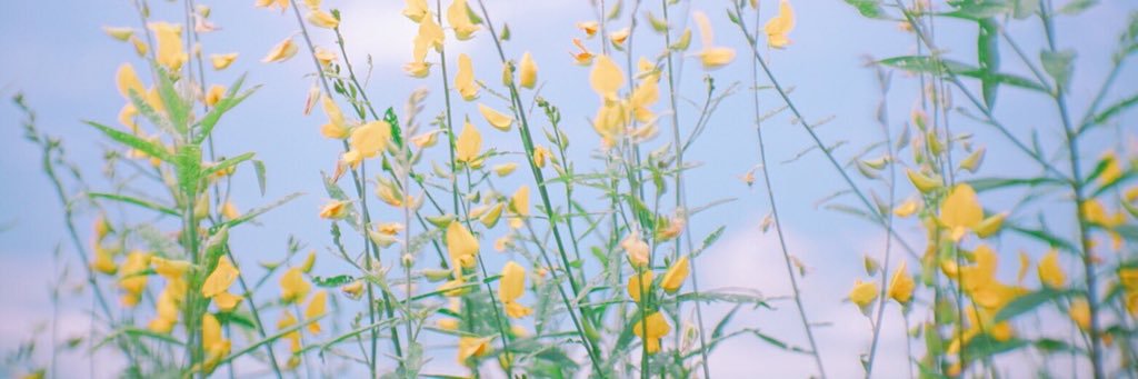 gwangsmall's profile banner image