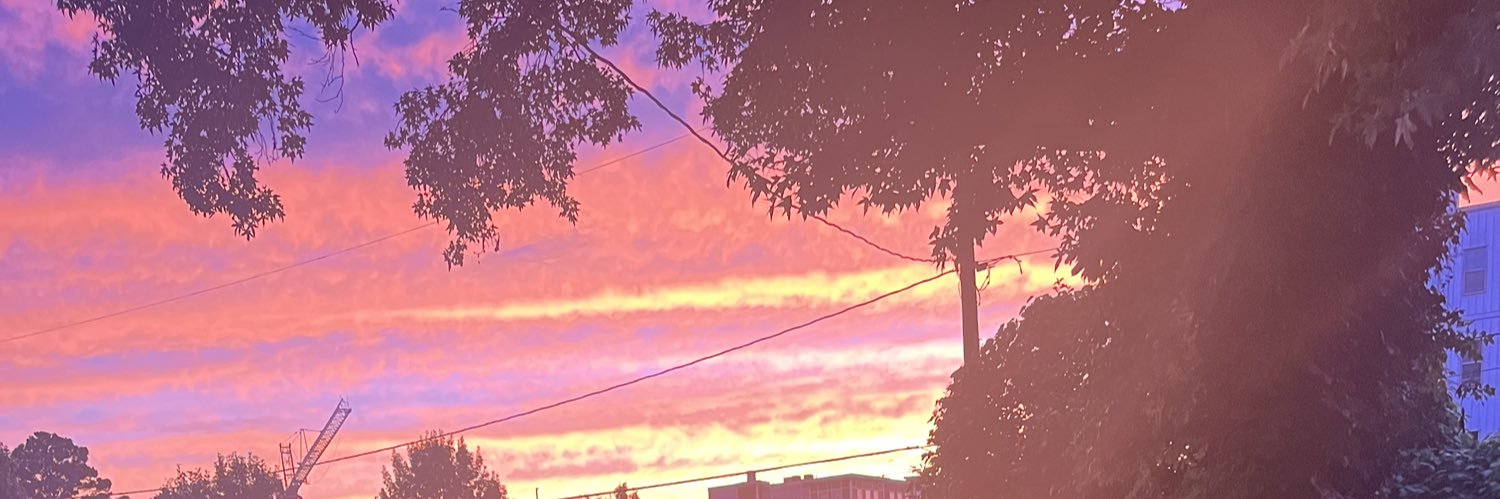 TrillMujer's profile banner image