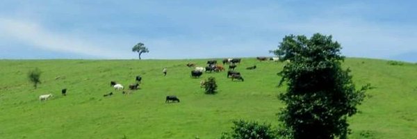 obedbasendo Profile Banner