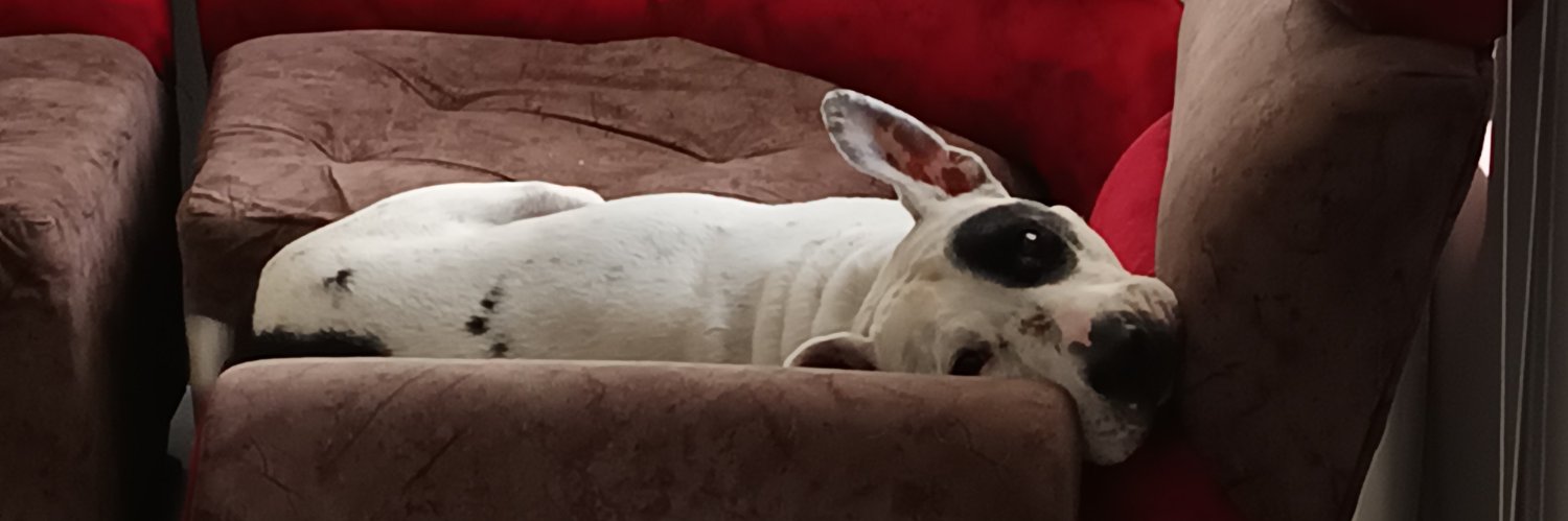 JaimeLBernal's profile banner image