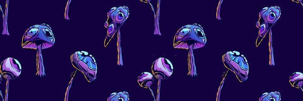 Elsa the Rice Queen banner