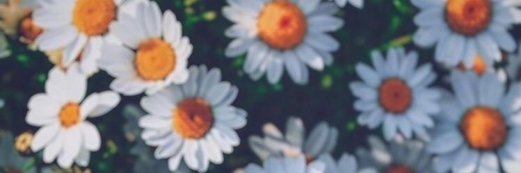 _alragheed's profile banner image