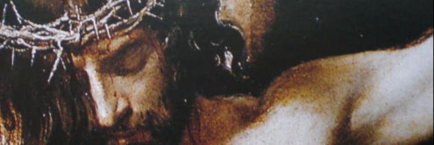 abogasania's profile banner image