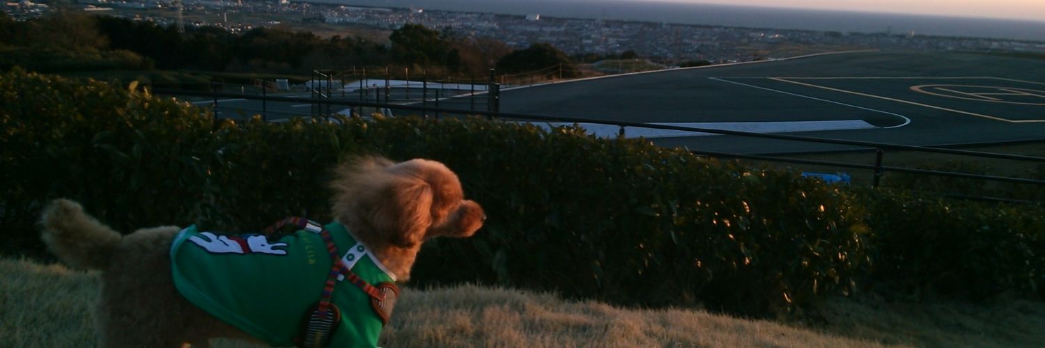 prettybash12201's profile banner image