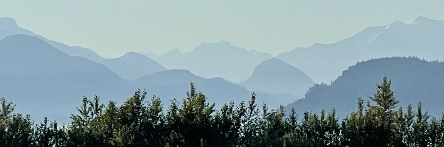 blurfus's profile banner image