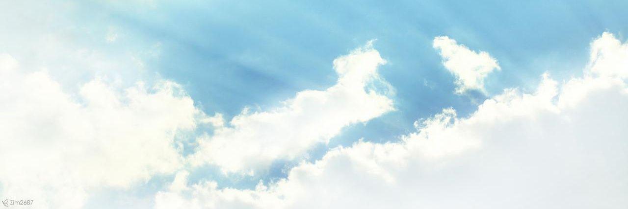 _trueboobs's profile banner image