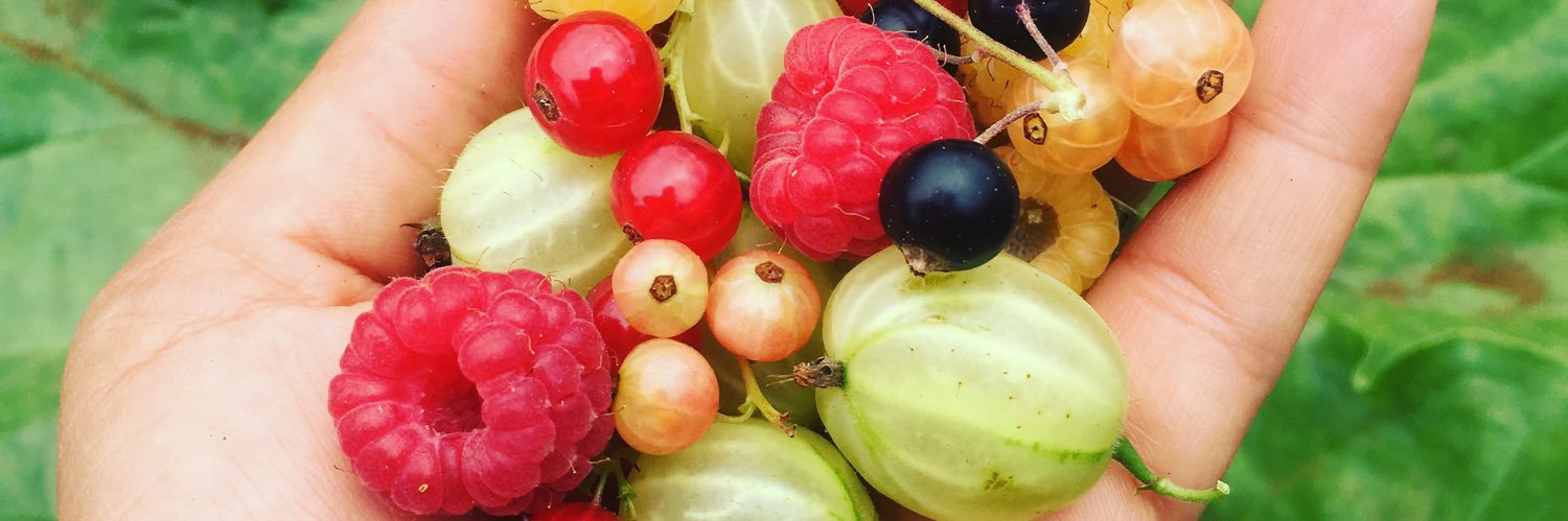 NikasKitchen's profile banner image