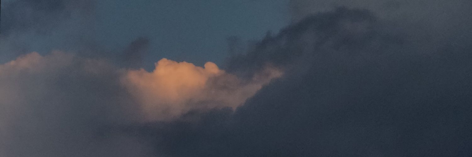 Tanindz's profile banner image
