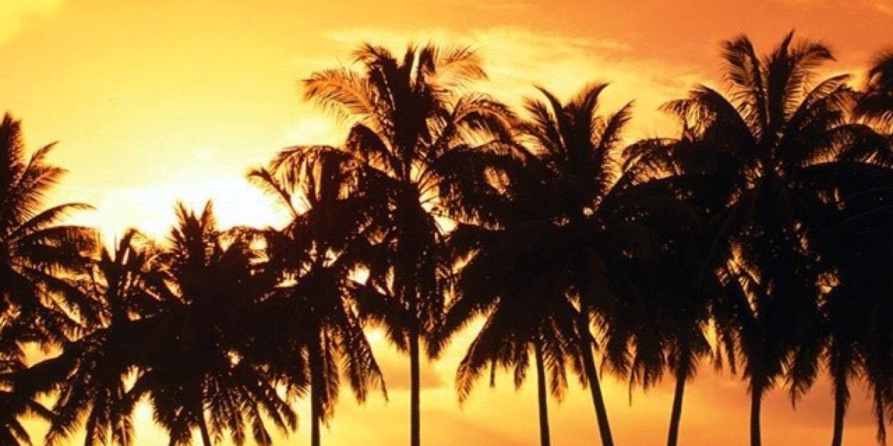 bradtpowell's profile banner image