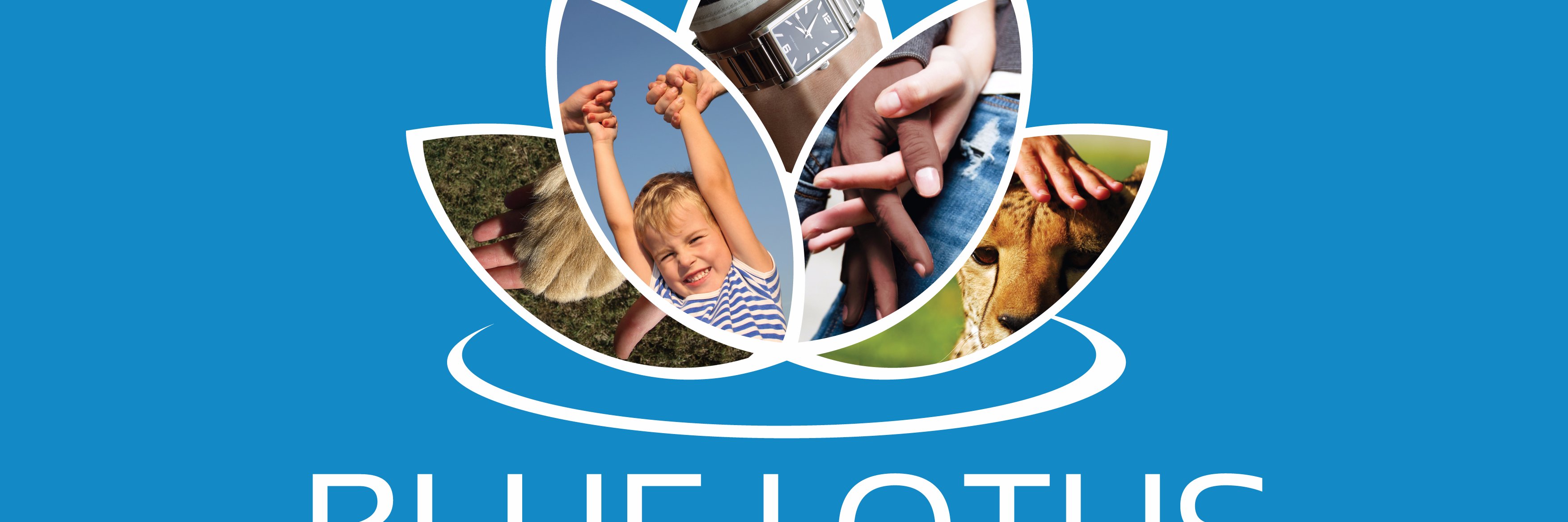 BLtraveltours's profile banner image