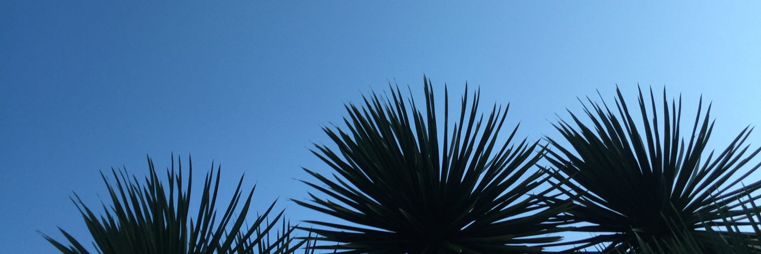 _tomascalvo's profile banner image