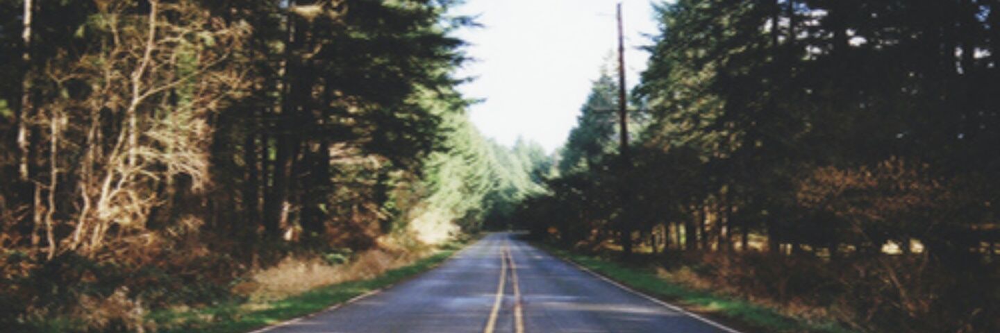 skree. banner