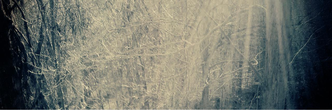 Louis61097's profile banner image
