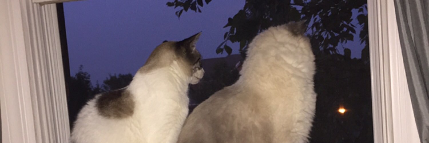 KatherineKav's profile banner image