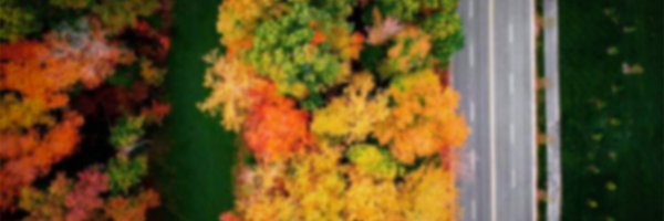 TylerJThrasher Profile Banner