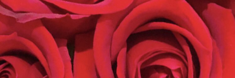 zikzin_33's profile banner image