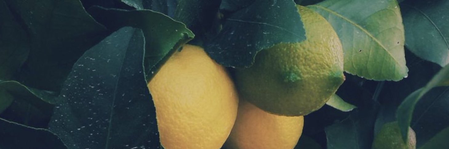 jilliangillian's profile banner image