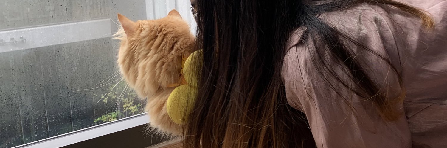 thetntn's profile banner image