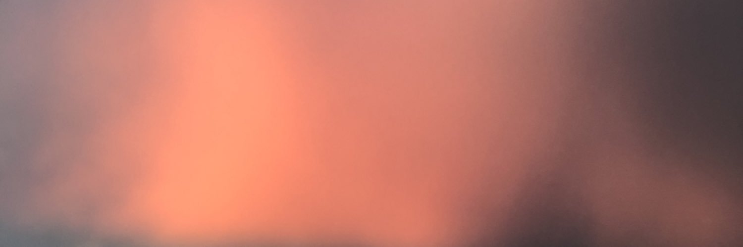 pitandree's profile banner image