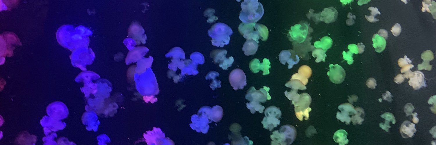 nnyk37's profile banner image