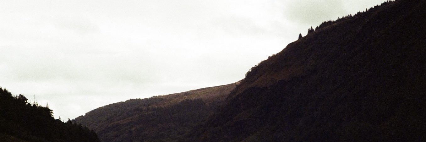 yoldroz's profile banner image