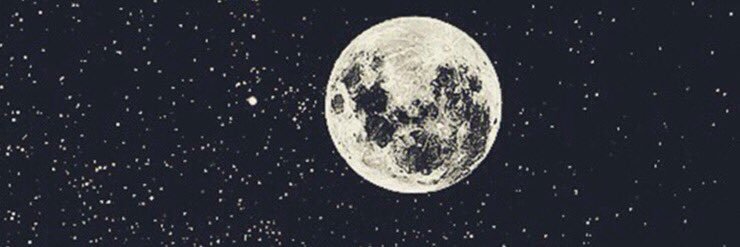chamtokki's profile banner image