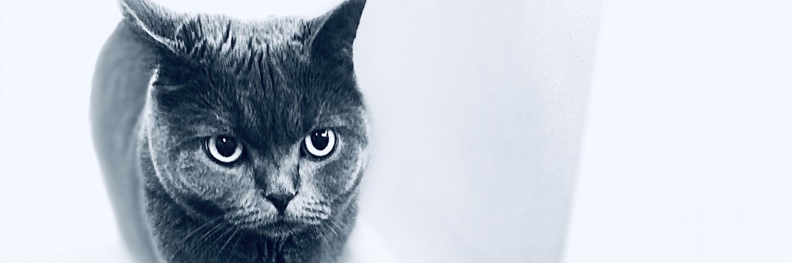 BritishShort725's profile banner image