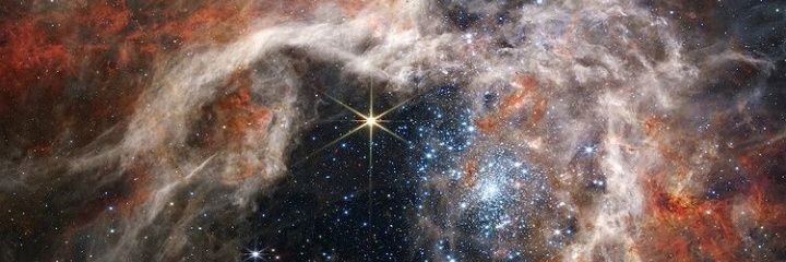 errebarelle's profile banner image