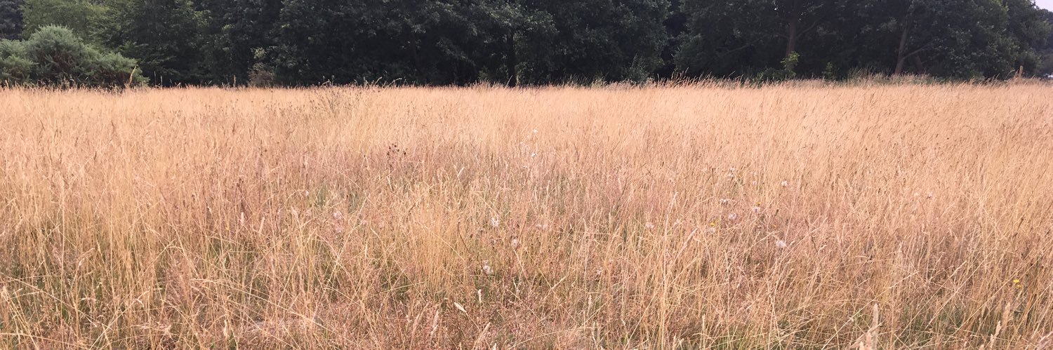 Richard Glassborow banner