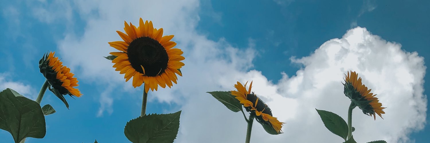 ArgeCanche's profile banner image