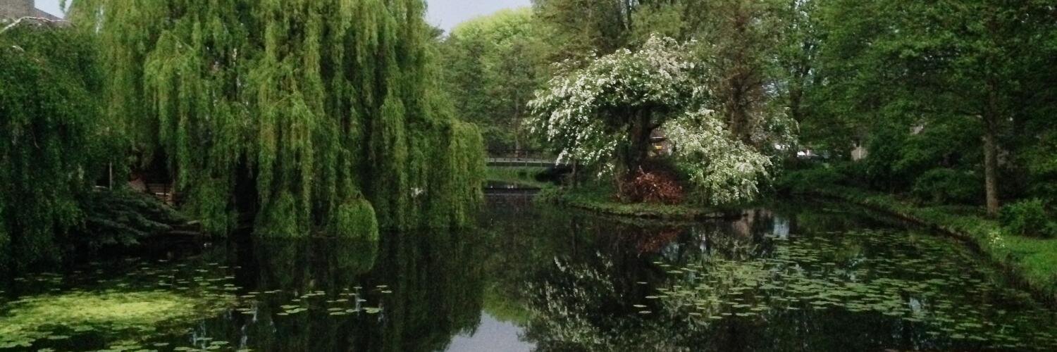Tony_Touw's profile banner image