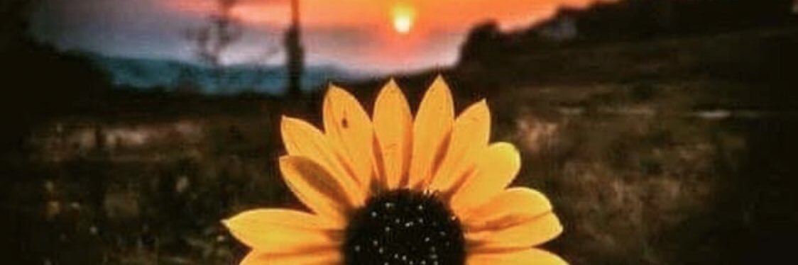 TiffaneyRaeS's profile banner image