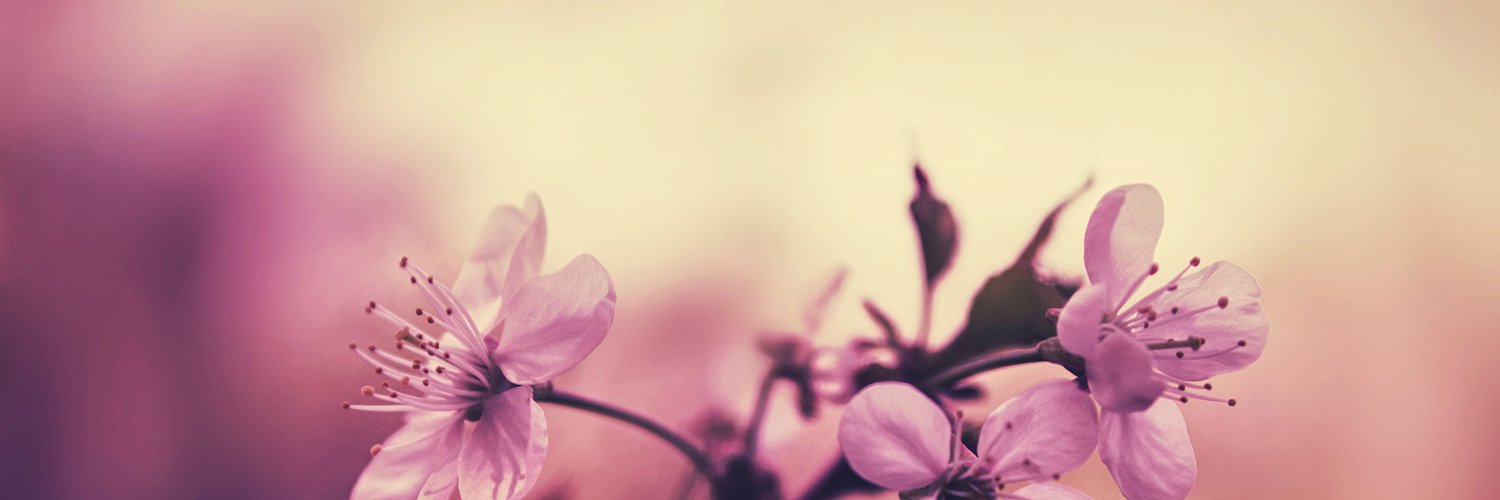 Sarah King banner