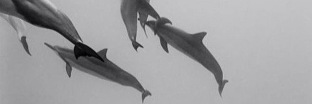 carabyte's profile banner image