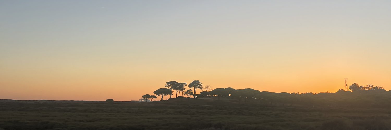 ellarichmonddd's profile banner image