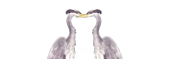 hvpatuck's profile banner image