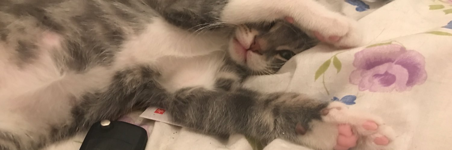 201Maraki's profile banner image