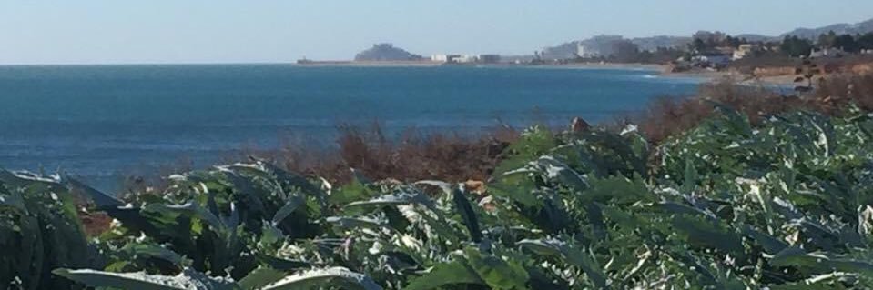 Laqueparletortosí. banner