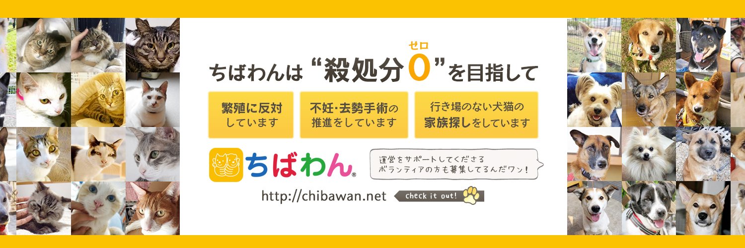 ちばわん(犬猫保護) banner
